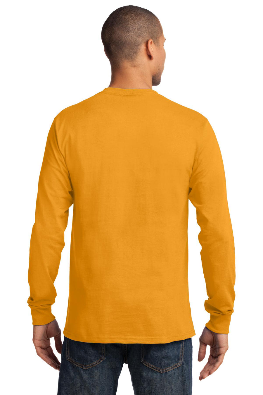 PC61LS-Gold-back_model