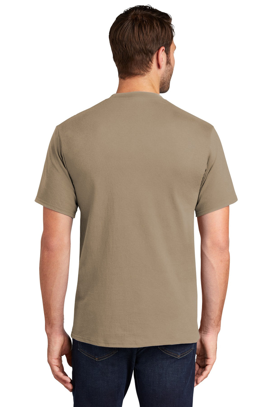 PC61T-Sand-back_model