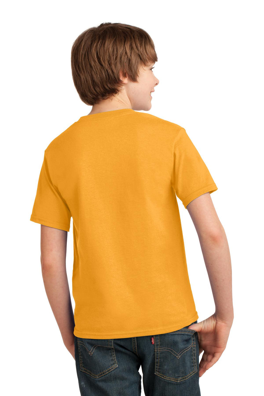 PC61Y-Gold-back_model