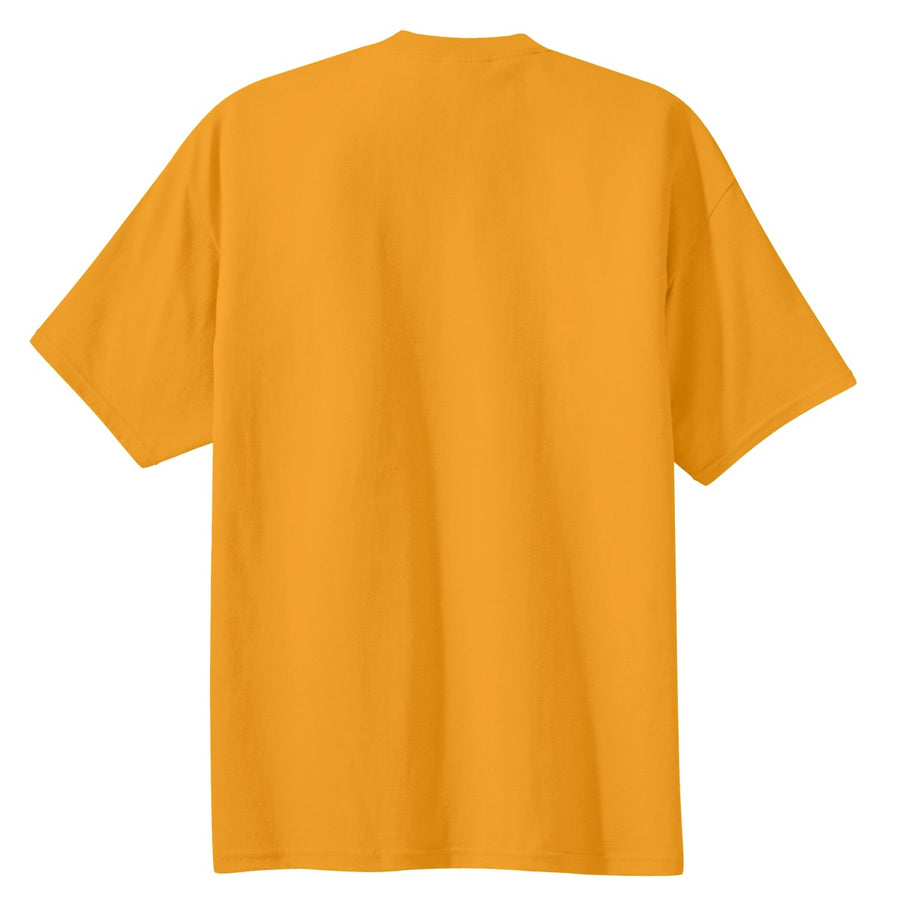 PC61-Gold-back_flat