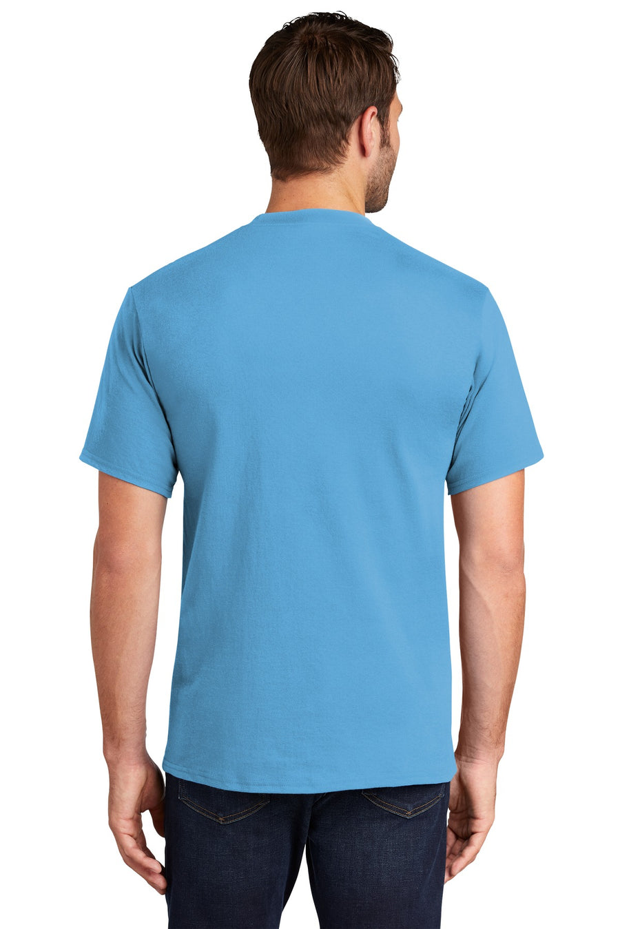 PC61-Aquatic Blue-back_model