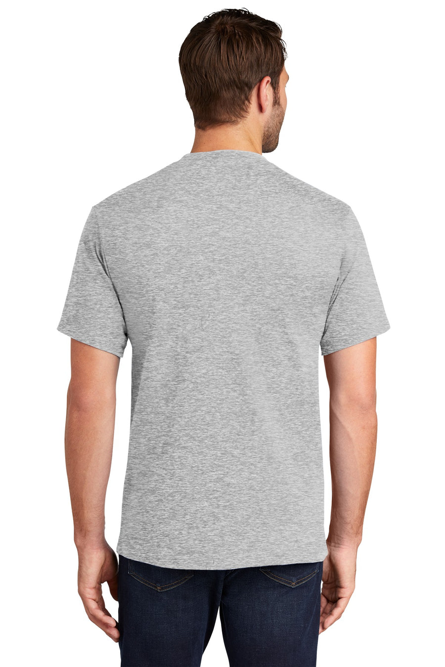 PC61-Ash-back_model