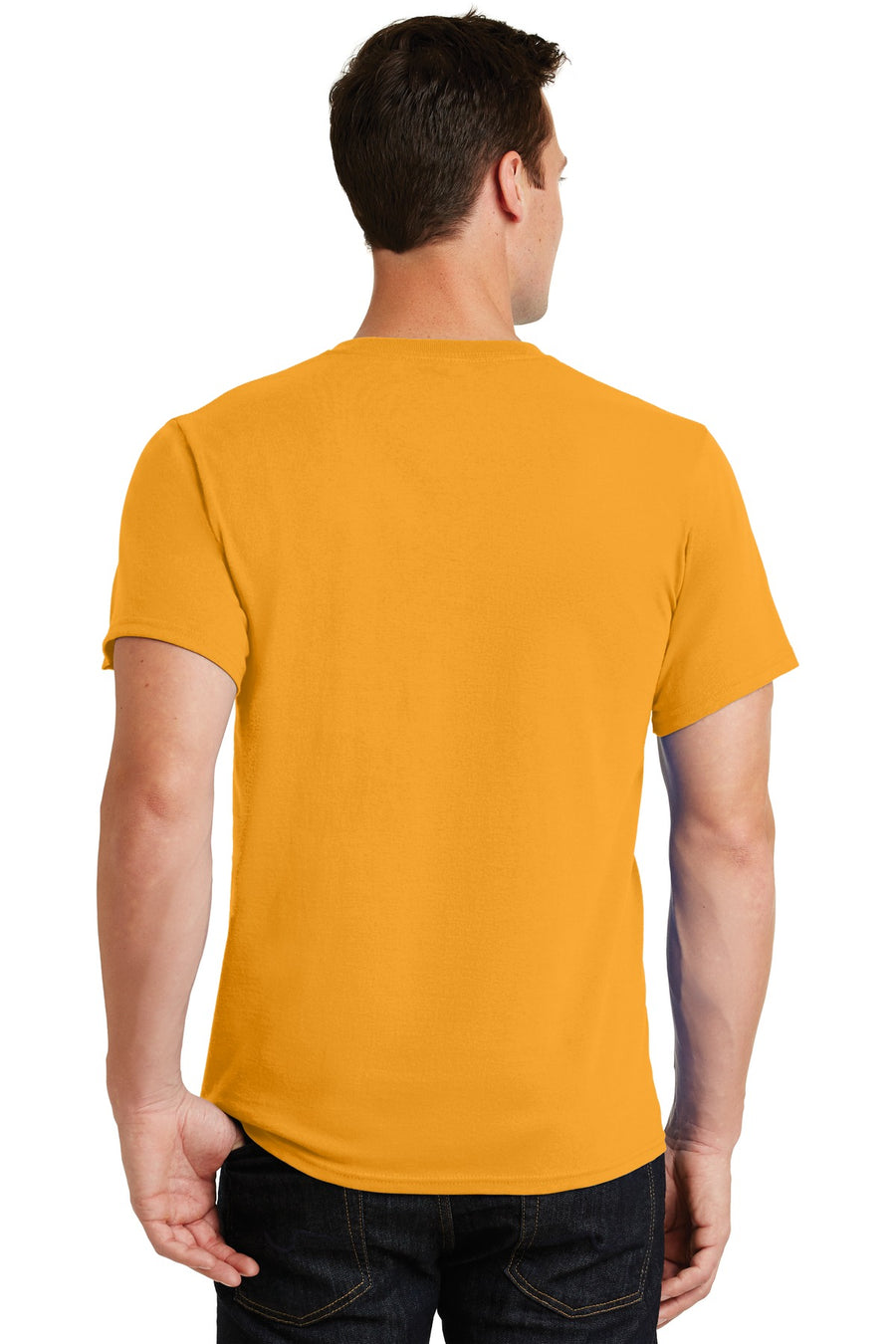 PC61-Gold-back_model