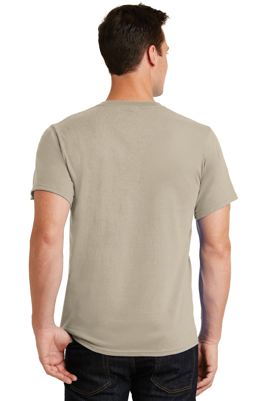 PC61-Light Sand-back_model