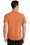PC61-Orange Sherbet-back_model