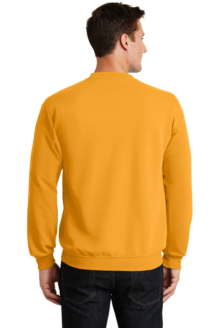 PC78-Gold-back_model