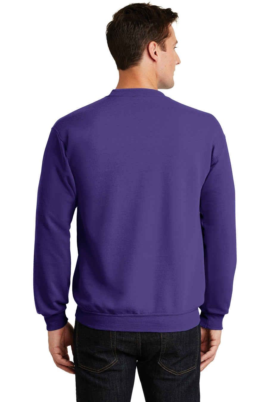 PC78-Purple-back_model