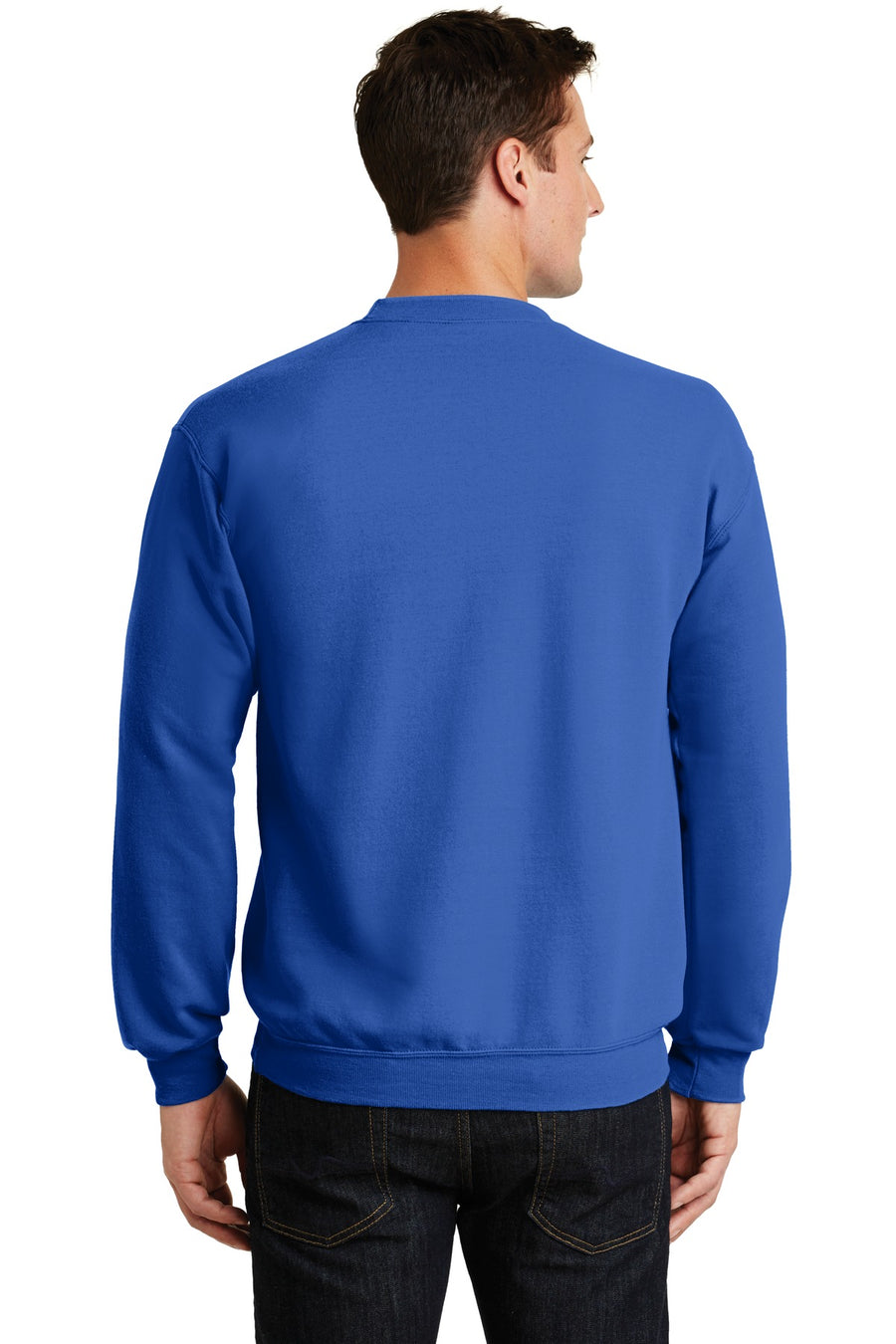 PC78-Royal-back_model