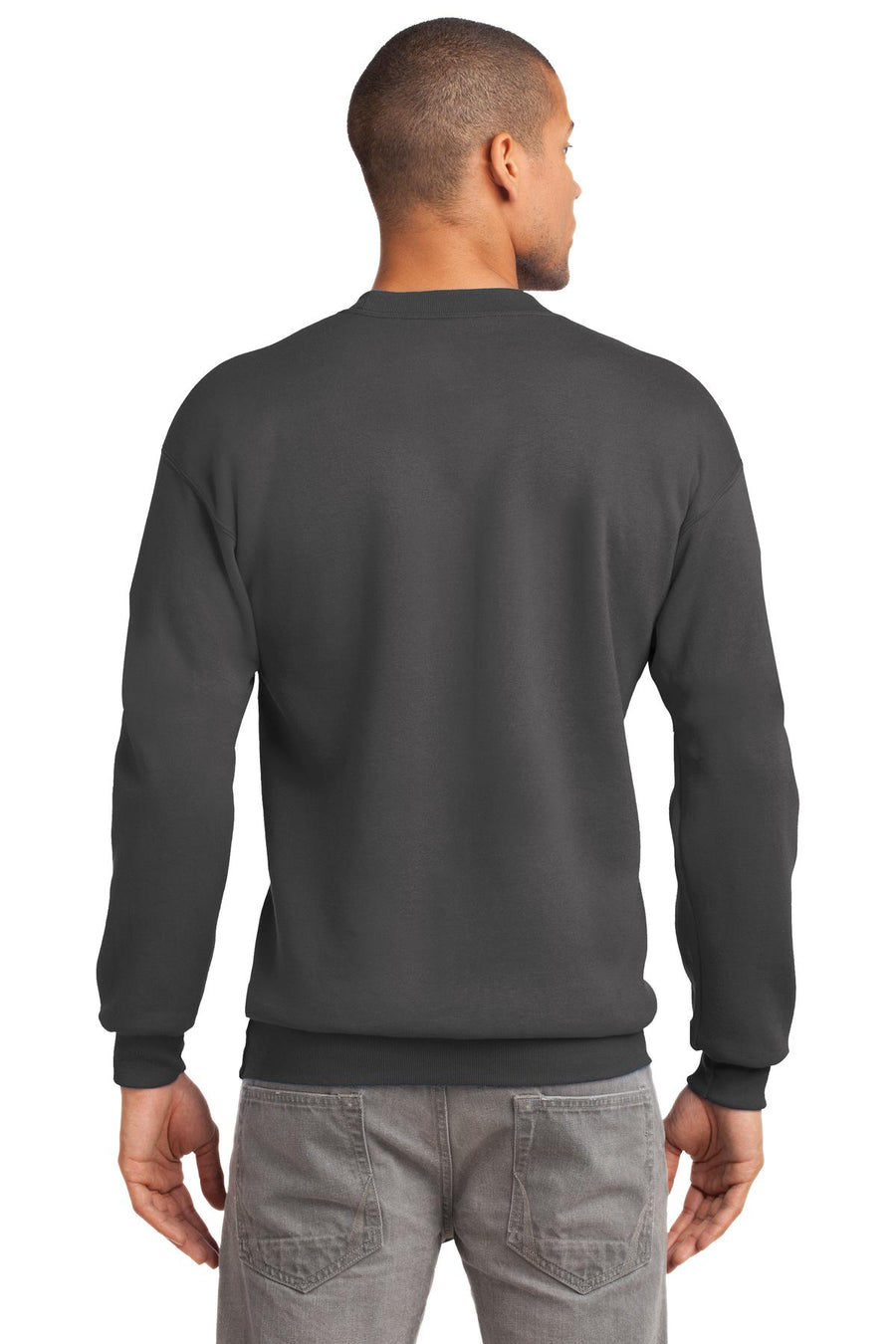 PC90-Charcoal-back_model