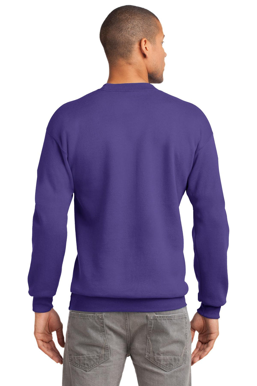 PC90-Purple-back_model