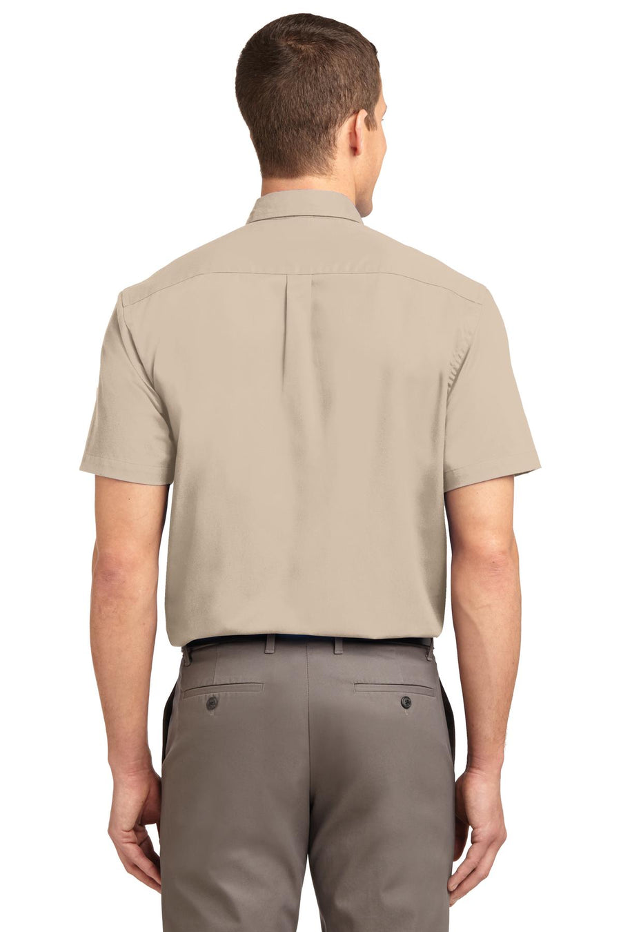 S508-Stone-back_model