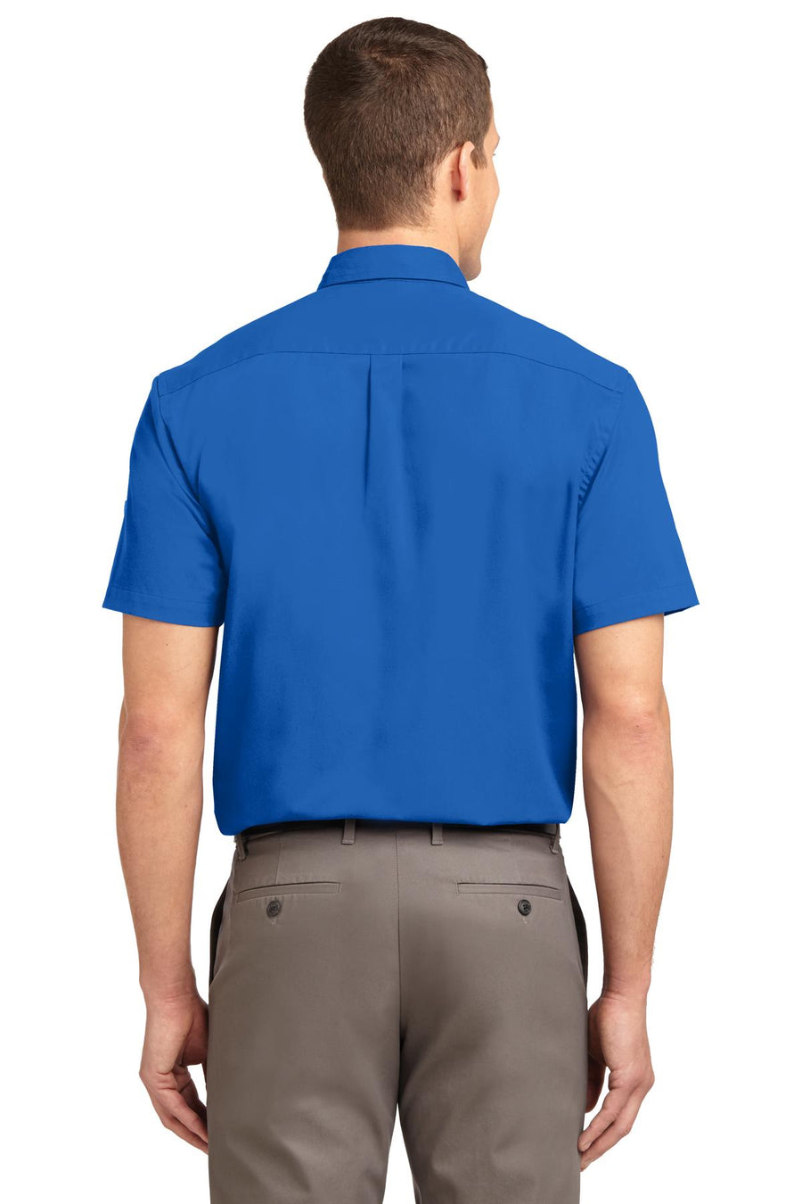 S508-Strong Blue-back_model