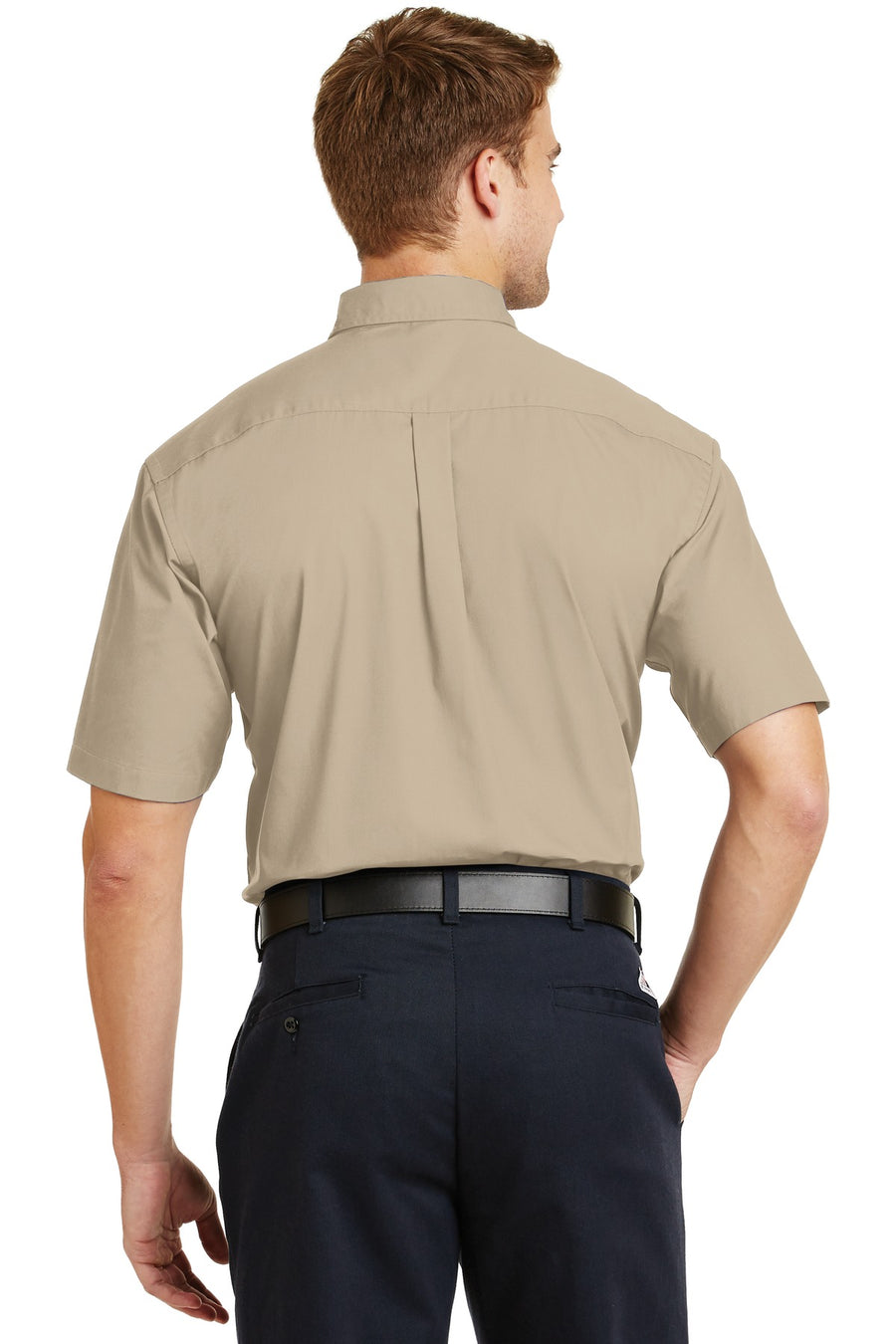 SP18-Stone-back_model