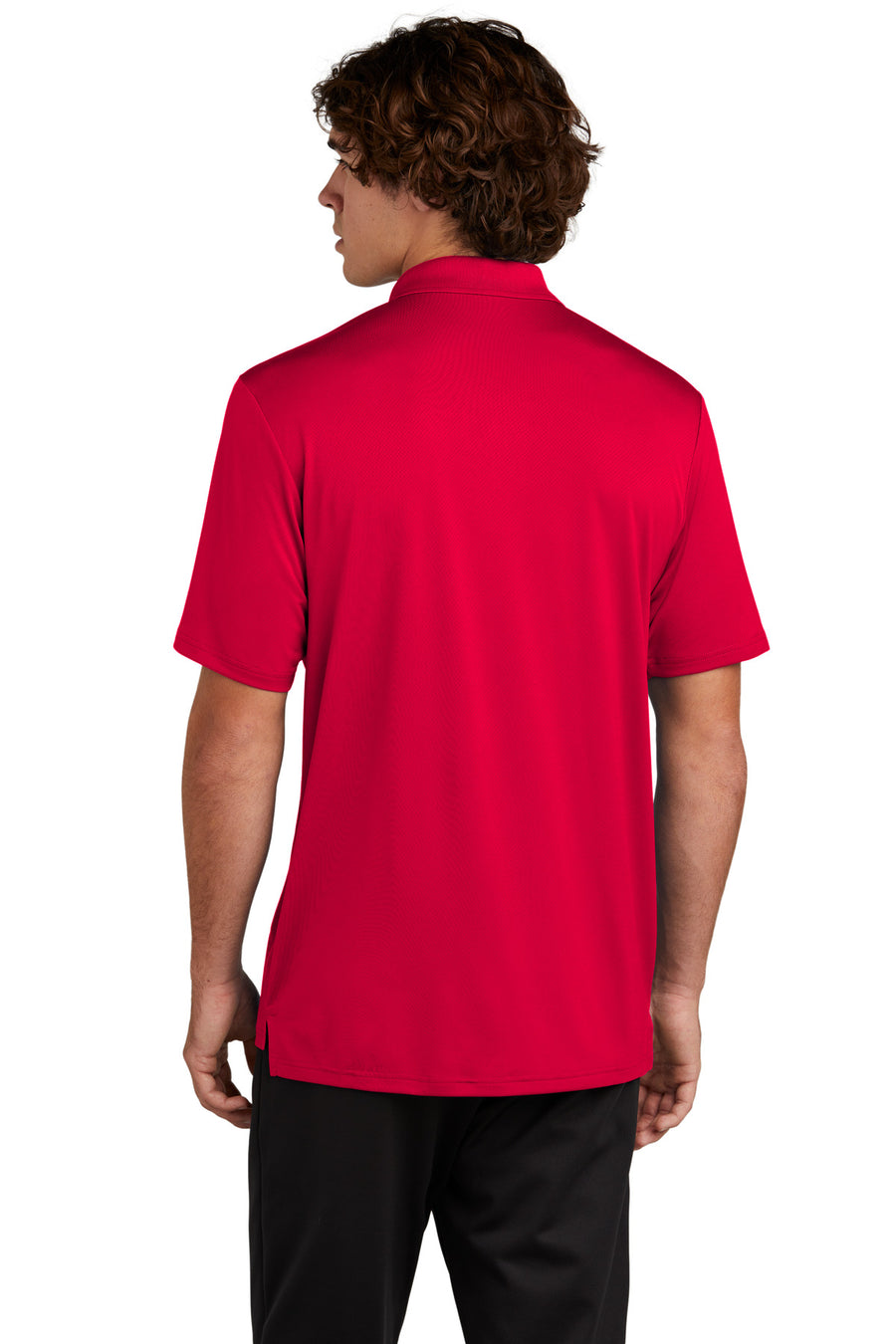 ST535-Deep Red-back_model