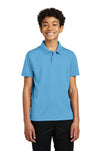 Port Authority® Youth Dry Zone® UV Micro-Mesh Polo Y110